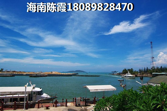 衍宏·春天好不好