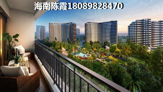 双杰·蓝海国际房子