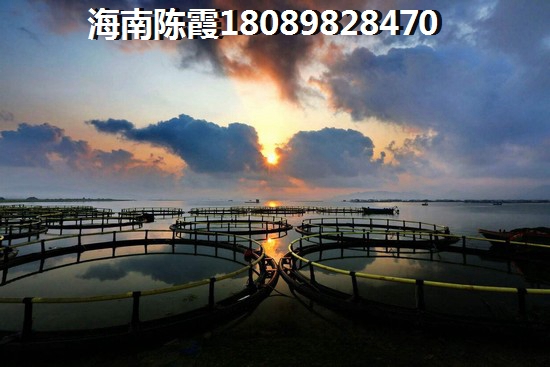 u=2833286865,3691869247&fm=26&gp=0.jpg