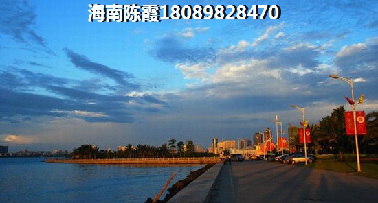 丰绅未来城楼盘配套