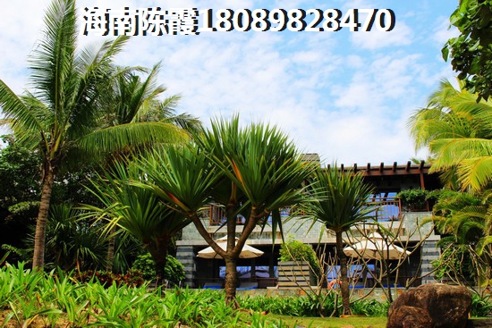 临高新房能touzi吗