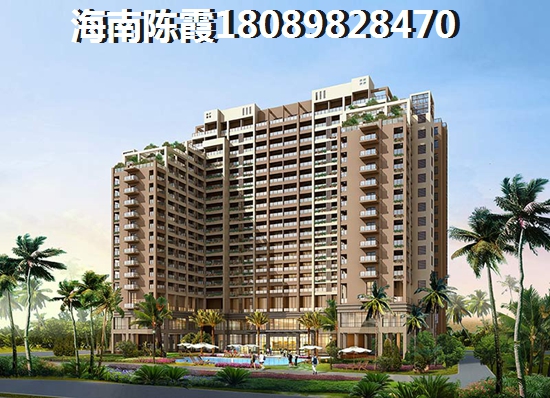 临高临高今后发展前景如何