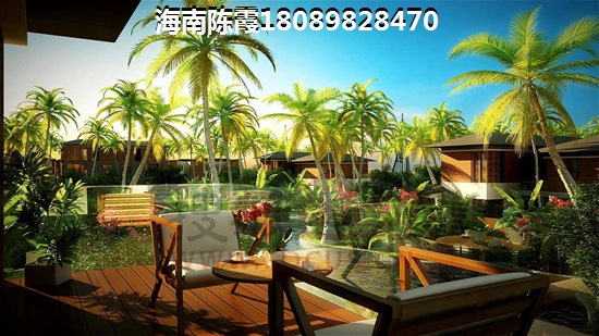 临高的房子未来会生纸吗？