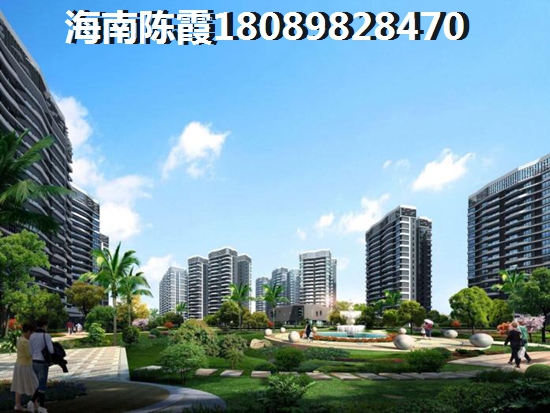 临高毗海澜湾极具生纸潜力2